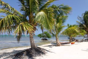 Beach on Caye Caulker island - Belize