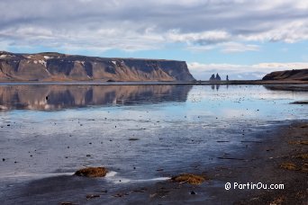 Reynisfjall's cliffs - Iceland