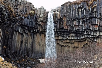 Svartifoss waterfall and basaltic organs- Iceland