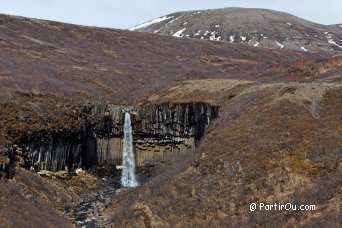 Svartifoss Waterfall - Iceland