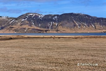 Lake Heiarvatn - Iceland
