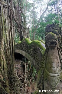 Monkey Forest at Ubud - Bali - Indonesia