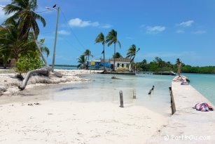 Split from Caye Caulker - Belize