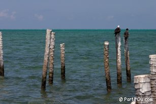 View from Caye Caulker - Belize