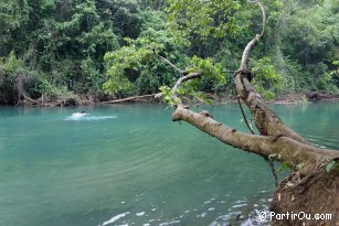 Lanquin river - Guatemala