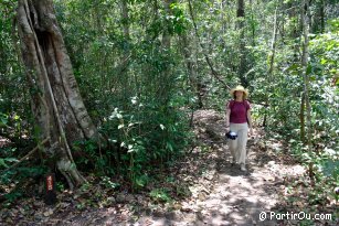 Biotopo Cerro Cahui - Guatemala