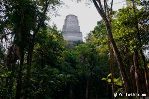 Tikal - Guatemala