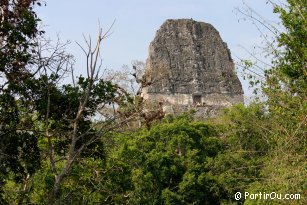 Temple V of Tikal - Guatemala