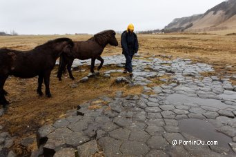 Basaltic organs of Kirkjugolf - Iceland