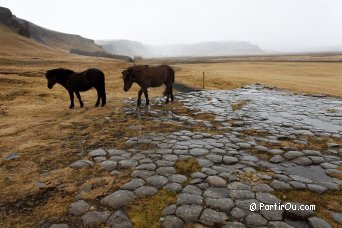 Basaltic organs of Kirkjugolf - Iceland