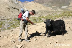 in Ladakh