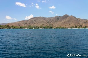 Komodo Island - Indonesia