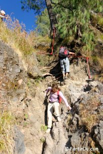 On the way down to the lake Segara Anak - Rinjani - Lombok - Indonesia