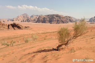 Wadi Rum - Jordan