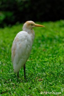 Bird park in Kuala Lumpur