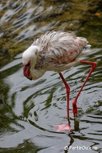 Bird park in Kuala Lumpur